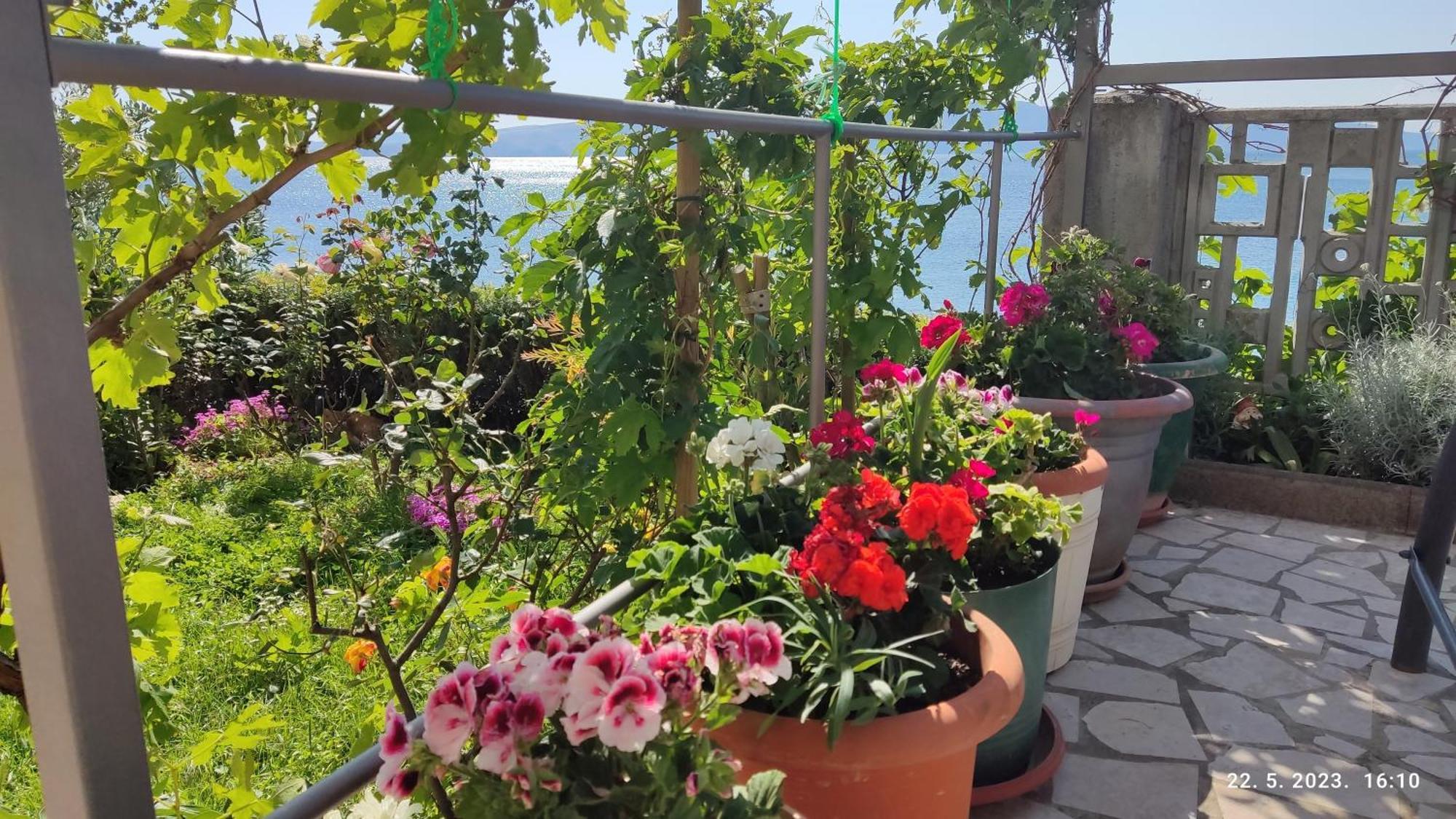 Apartman I Sobe Martina Senj  Exterior photo